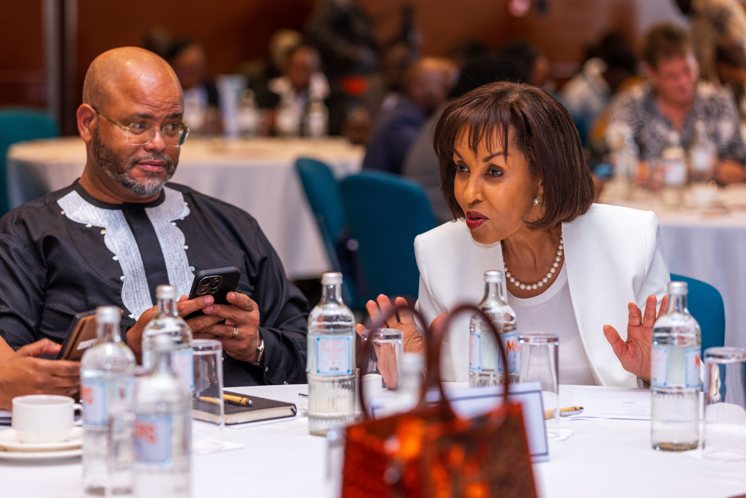 AFrica Rising Network, Profit, Purpose, Partnerships