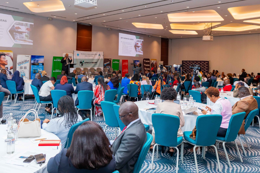 Africa 2033 Impact Coalition